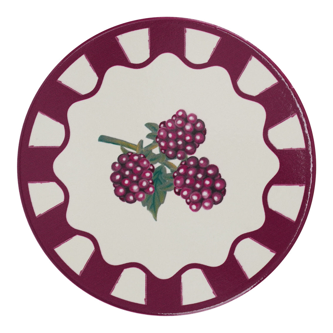 Autumnal Fruit Coasters - 20 Pack Display | Autumn Decor |