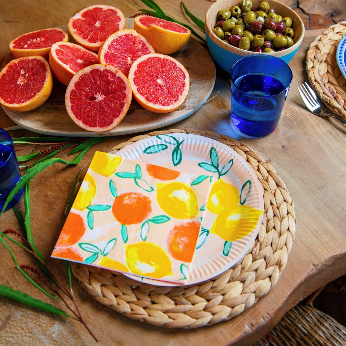 Citrus Fruit Recyclable Paper Plates - 12 Pack