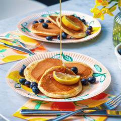 Citrus Fruit Recyclable Paper Plates - 12 Pack