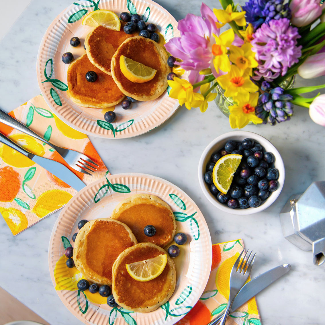 Citrus Fruit Recyclable Paper Plates - 12 Pack